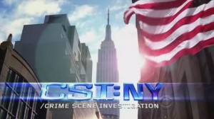 personagens csi new york