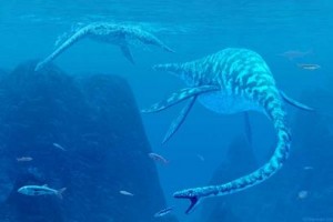 elasmosaurus