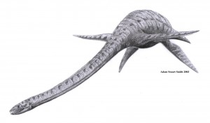 elasmosaurus dinossauros