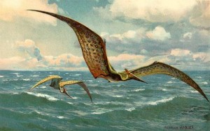 pteranodon dinossauro