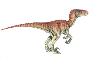velociraptor dinossauro