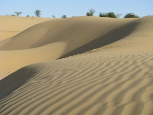 Maiores desertos do mundo – Thar