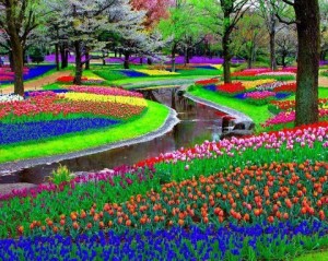 Parque Keukenhof