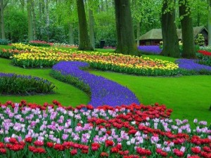 Parque Keukenhof Holanda