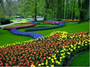 jardins da holanda