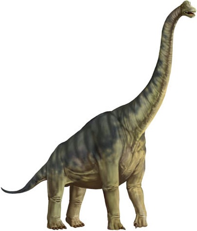 Brachiosaurus