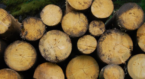 Como a Biomassa é usada no Brasil para geração de energia?