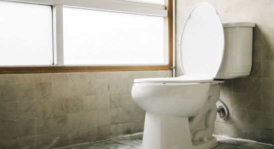 Vasos sanitários: por que entopem?