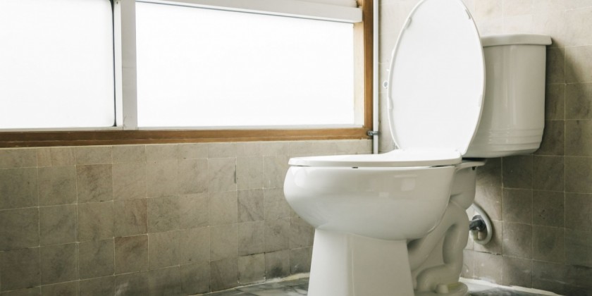 Vasos sanitários: por que entopem?