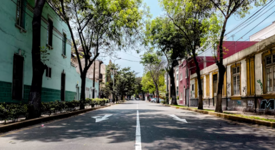 Leia o texto a seguir e descubra como o bairro do Ibirapuera se desenvolveu ao longo dos anos