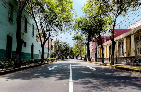 Leia o texto a seguir e descubra como o bairro do Ibirapuera se desenvolveu ao longo dos anos