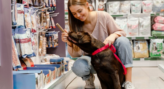 pet shop: bem-estar garantido com dicas preciosas