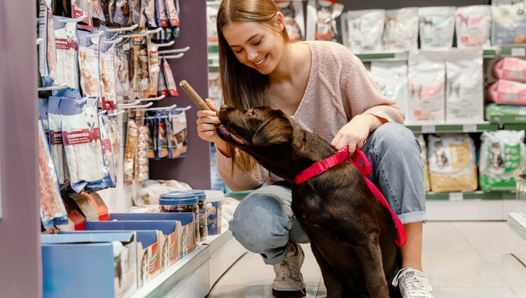 pet shop: bem-estar garantido com dicas preciosas