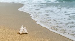 moda praia