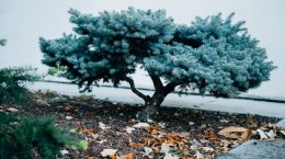 Projetos de engenharia