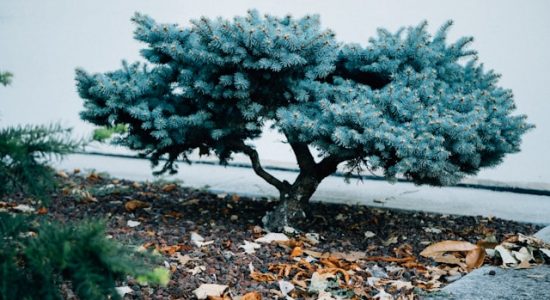 Projetos de engenharia