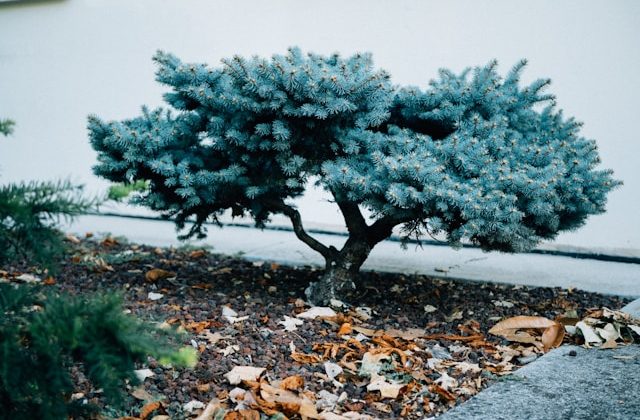 Projetos de engenharia