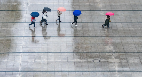 Organizador de fila: aluguel com entrega rápida