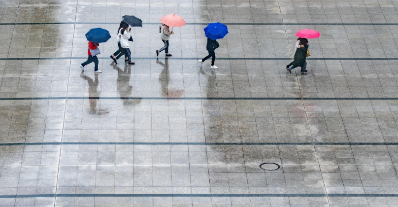 Organizador de fila: aluguel com entrega rápida